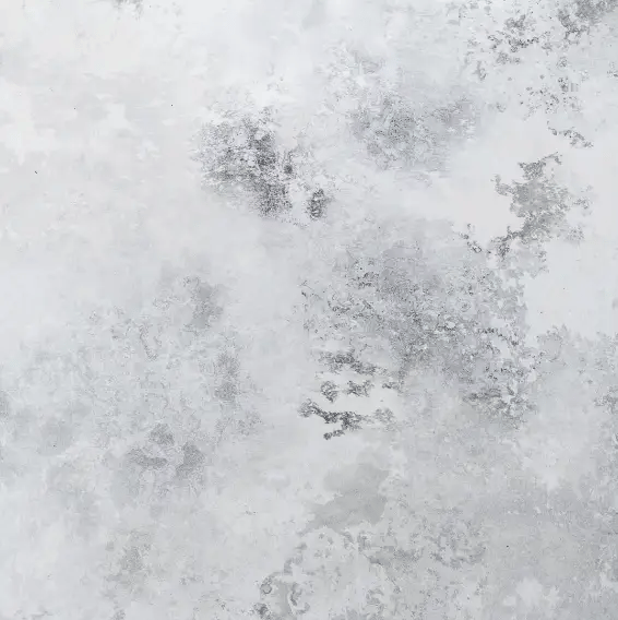 Uh Oh Milo! The Excited Elf Storybook